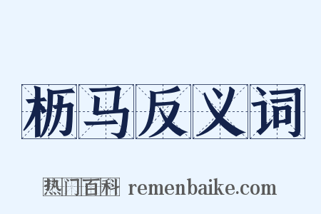 枥马反义词是什么意思的图片